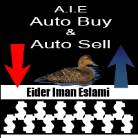 About Eider ImanEslami