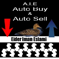 About Eider ImanEslami