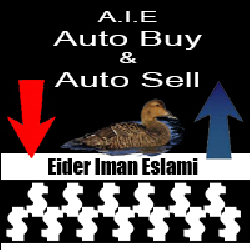 About Eider ImanEslami